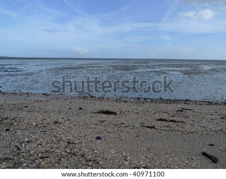Mud flats at low tide