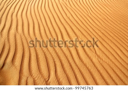 Sand dunes in the Al Ain desert, United Arab Emirates