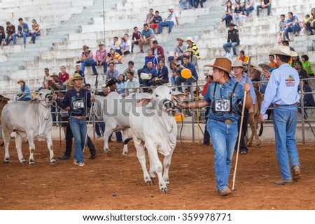 NAKRONRATCHASIMA, THAILAND - January 09th, 2016: Cow being judged in agricultural fair 09th January, 2016 at Suranaree University of technology in NAKRONRATCHASIMA, THAILAND