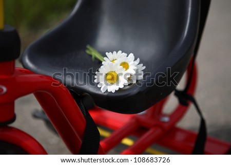 Camomiles on a bicycle seat