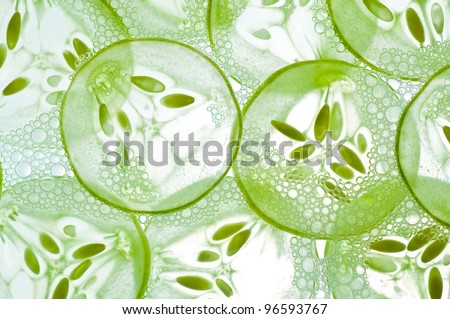 Sliced cucumbers in water isolated on a white background.