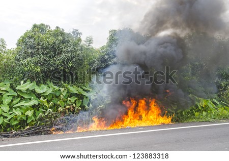 Fire burning close to rural road