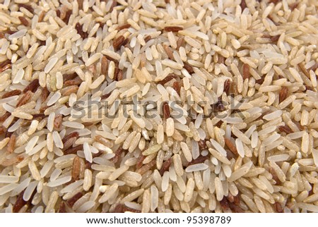 Rice grains background