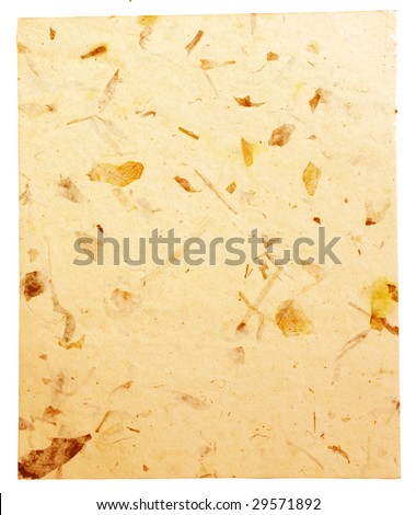 handmade paper with organic insertions and grunge surface