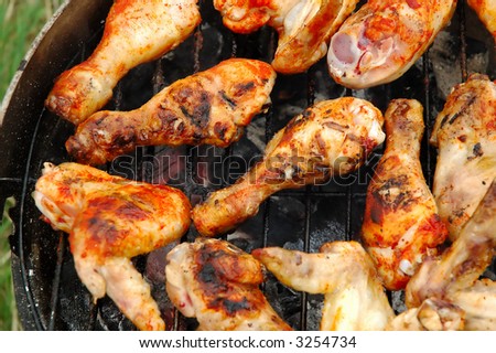 Grilling chicken on the fire grate, close-up