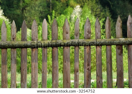 Old fence, on the background are trees