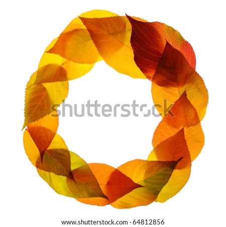 A bunch of fall leaves isolated on white background
