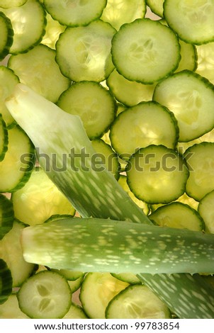Aloe and Cucumber, Aloe vera