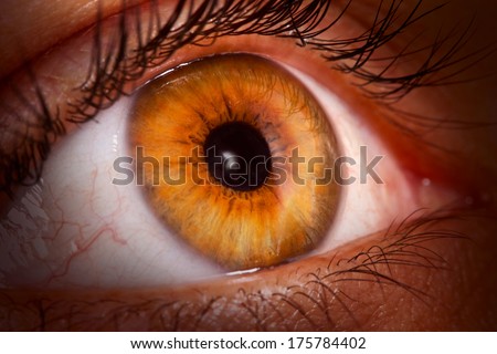 human eye looking up / eye