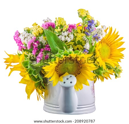Yellow sunflowers and colored wild flowers in a white sprinkler, watering can, close up, isolated, cutout, white background