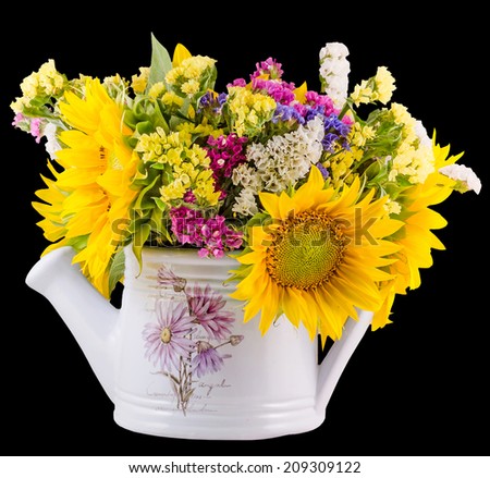 Yellow sunflowers and colored wild flowers in a white sprinkler, watering can, close up, isolated, cutout, black background