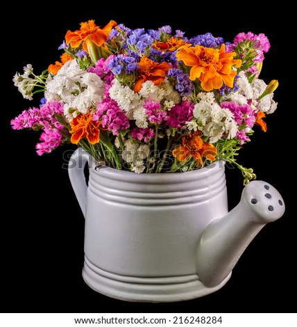 White ceramic watercan, sprinkler, with vivid colored flowers, orange tagetes, purple wild flowers, close up, isolated, black background.