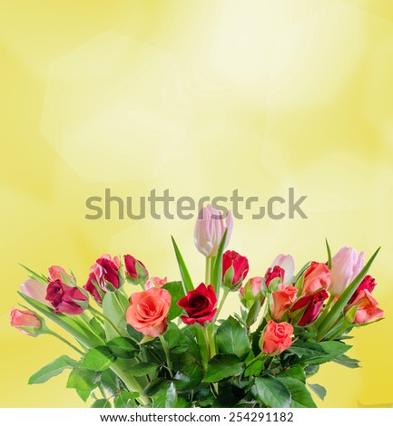 White, orange, red and yellow roses flowers, bouquet, floral arrangement, white background, isolated.