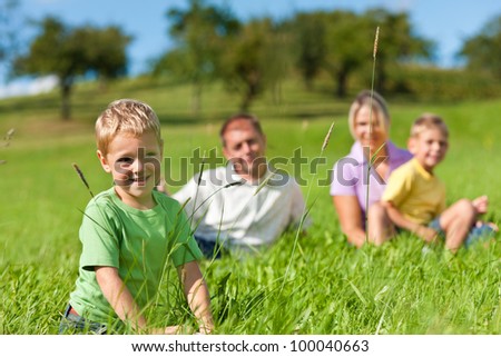 Family with two little boys playing in the grass on a summer meadow - peaceful scene, focus on the boy in the front