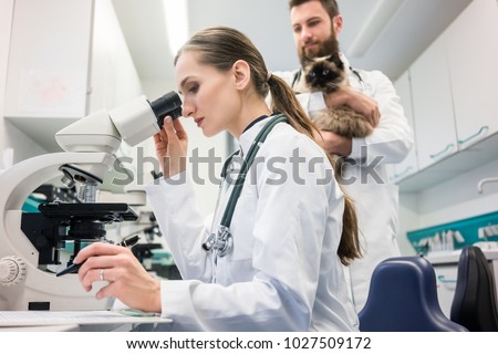Veterinarian doctors analyzing blood samples of cat in laboratory under microscope