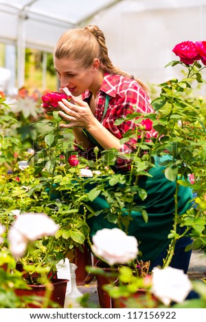 Female florist or gardener in flower shop or nursery with roses
