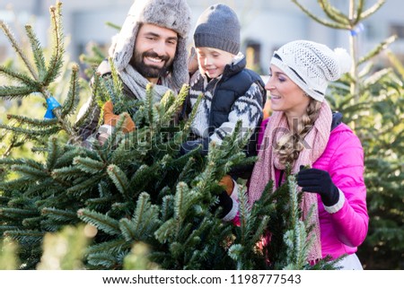 Family buying Christmas tree on market taking it home