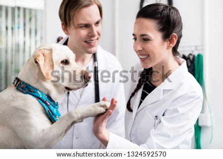 Dog giving handshake to a smiling doctor in clinic