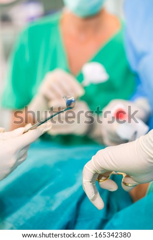 Hospital - doctor surgery team in the operating room or theater of clinic operating on patient, perhaps it is an emergency, assistant holding a cotton swap forceps