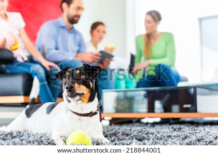 Jack Russel Terrier playing with ball in living room family sitting on sofa