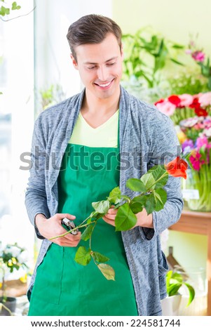 Young handsome florist cutting rose with tongs in shop
