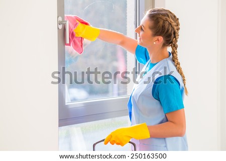 Cleaning lady with cloth at window