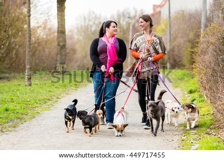 Dog sitters walking their customers