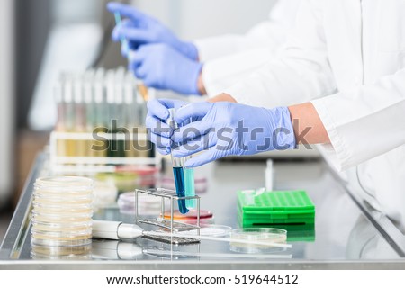 Researchers preparing samples for experiments in laboratory