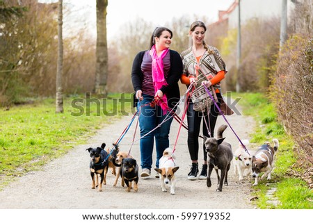 Dog sitters walking their customers