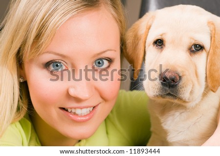 Cute Labrador Retriever puppy and his mom looking into the camera