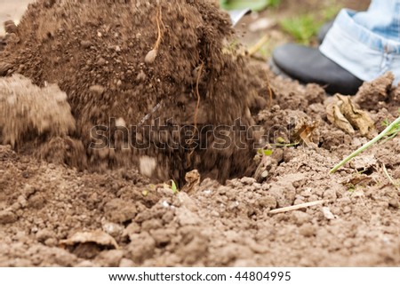 Woman gardener - only feet to be seen - digging the soil in spring with a spade to make the garden ready, motion blur for dynamic of scene