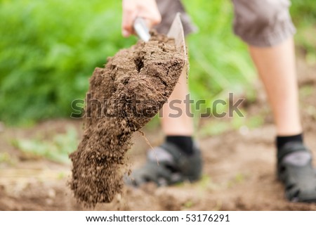 gardener - only feet to be seen - digging the soil in spring with a spade to make the garden ready