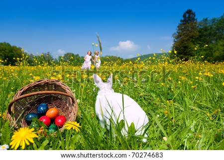 bunny and eggs