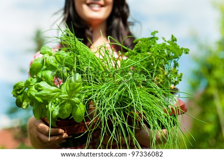 Gardening in summer - happy woman with different kind of fresh herbs