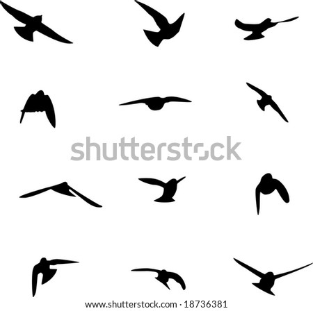 Swallow Silhouette