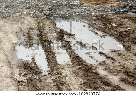 Tire tracks in the mud