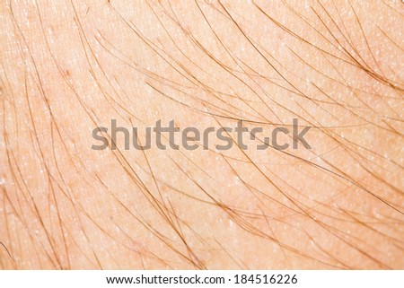 human skin with hair macro