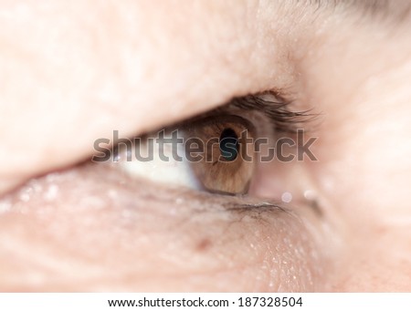 wrinkles on the female eye macro