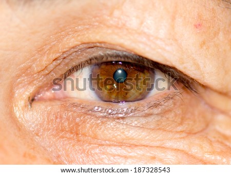 wrinkles on the female eye macro