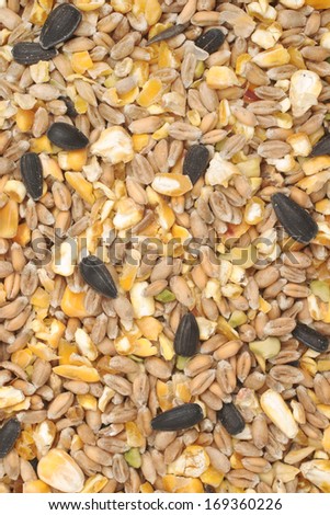 Bird seed a mix of cracked corn, sunflower and other seeds