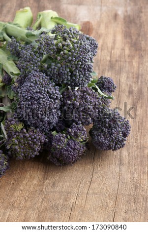 Purple sprouting broccoli a vegetable high in nutrients