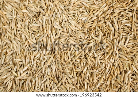 Grass Seed background texture