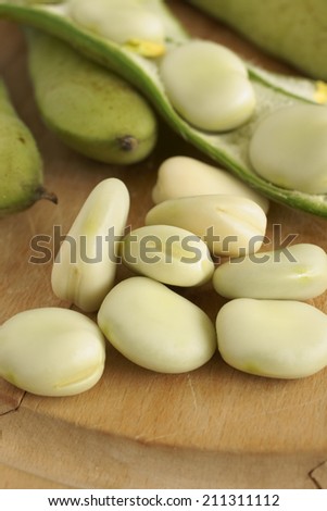 Broad beans or fava beans a popular legume in North African and Asian cuisine