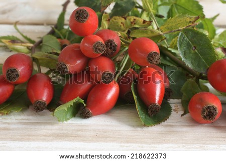 Rose Hips also known as rose haw fruit of the Dog Rose