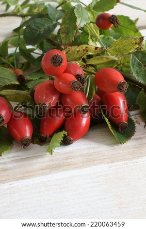 Rose Hips also known as rose haw fruit of the Dog Rose