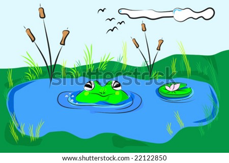 pictures of frogs for kids. frog in a pond, kids