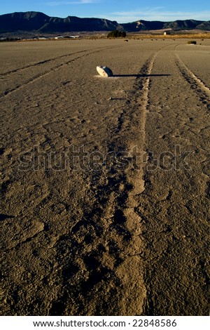 Climate change, global warming effect: dry salt lake - track tire - Laguna de Salinas (Spain)
