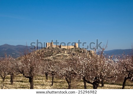 Almonds Flowers