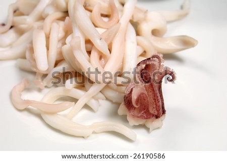 Seafood, cooked squid on white background