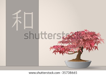 japanese maple bonsai for sale. japanese maple bonsai for